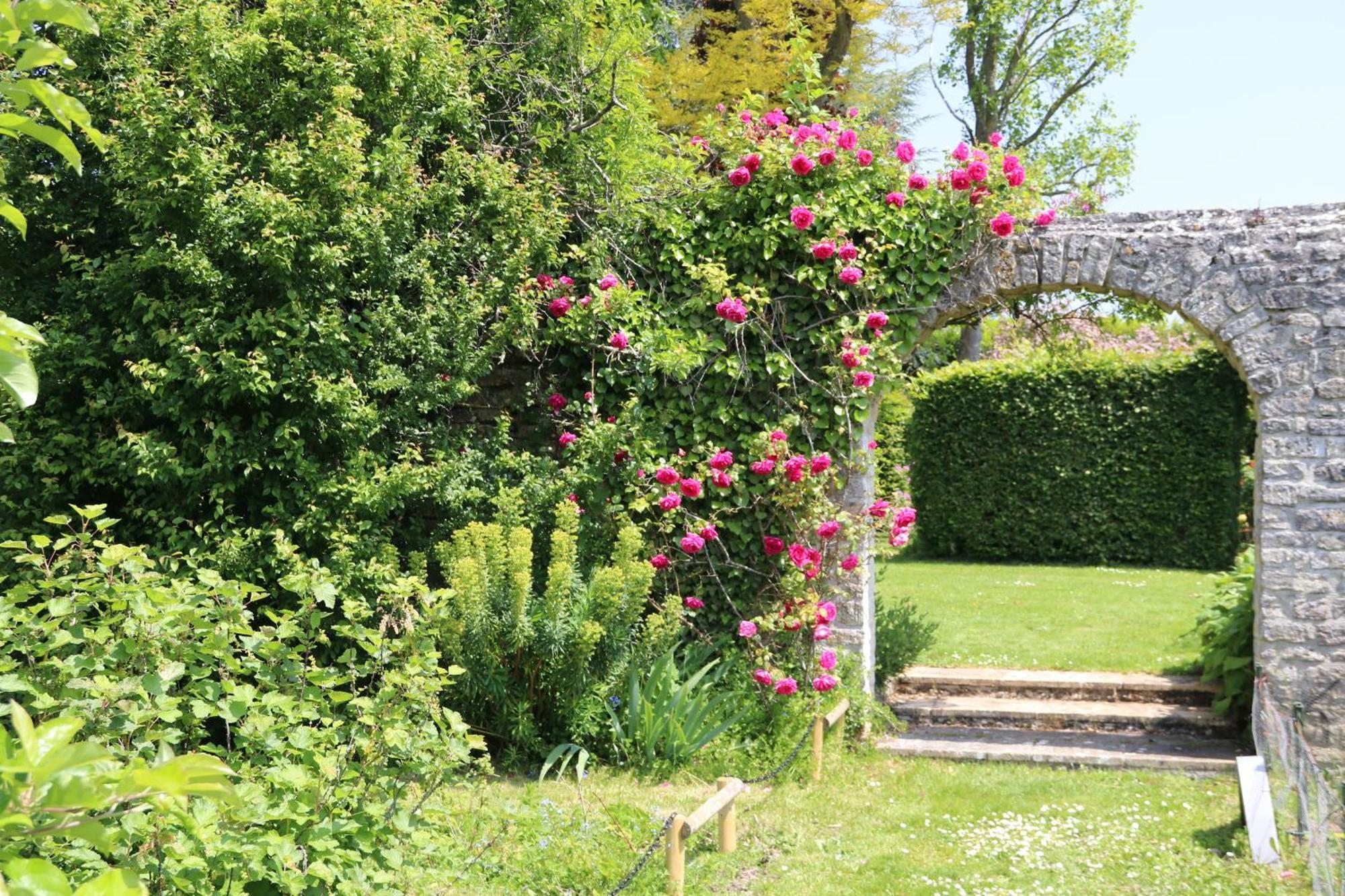 Charmant Logement Dans Un Ecrin De Verdure Le Manoir  Buitenkant foto